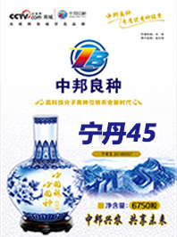 宁单45
